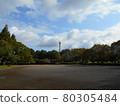 Ageo Maruyama Park 80305484
