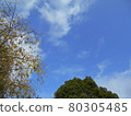 Blue sky 80305485