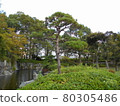 Ageo Maruyama Park 80305486