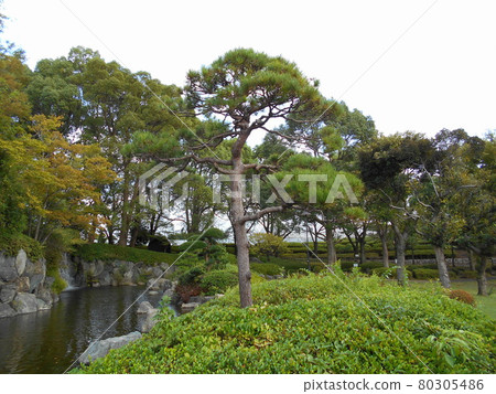 Ageo Maruyama Park Ageo Maruyama Park 80305486