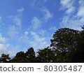 Blue sky 80305487