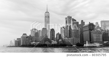 Panoramic view of Lower Manhattan, New York City, USA 80305795