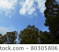 Blue sky 80305806
