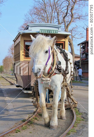 北海道歷史村 馬車鐵道（北海道札幌市厚別區） 80307795