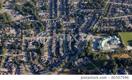 Aerial View from an Airplane of Residential Homes in Coquitlam 80307996