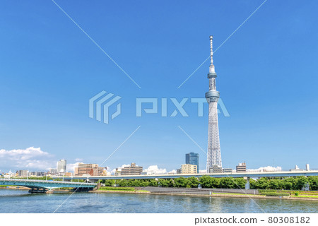 東京城市景觀天空樹 80308182