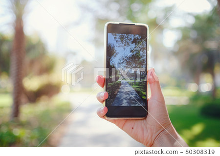 Tourist female hands holding a gadget against a blurry summer background 80308319