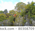 Ageo Maruyama Park 80308709