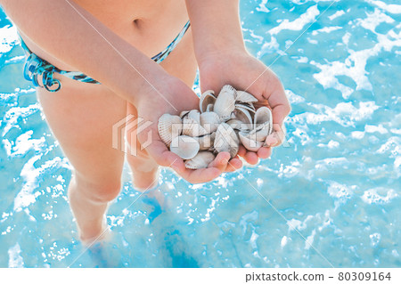 The hands of a young girl hold a pile of shells against the background of the blue sea on the beach close-up The hands of a young girl hold a pile of shells against the background of the blue sea on the beach close-up 80309164