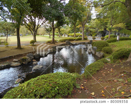 Waterside of Ageo Maruyama Park Waterside of Ageo Maruyama Park 80309358