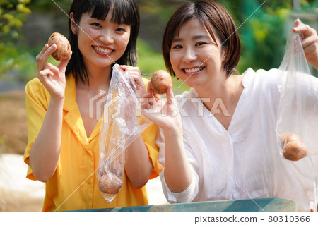 把土豆放在袋子裡的女人 80310366