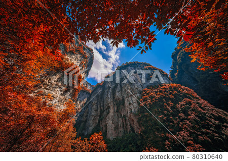 Massive vertical rock walls in Wulong National Park in autumn 80310640