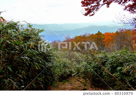 You can see the mountains of Tajima from the deciduous mountain trail to the summit of Mt. Hyono 80310979