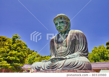 Kamakura Daibutsu in summer Kamakura Daibutsu in summer 80310980