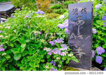 Kochoji stone monument 80311484