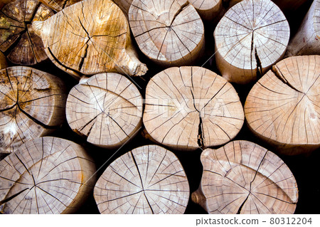 Stacked of firewood logs Stacked of firewood logs 80312204