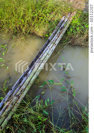 Trunks of eucalyptus placed for temporary bridge Trunks of eucalyptus placed for temporary bridge 80312207