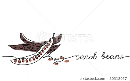 Carob beans vector illustration. One line drawing art illustration with lettering carob beans Carob beans vector illustration. One line drawing art illustration with lettering carob beans 80312957