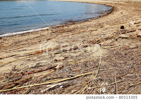 Garbage all over the beach Garbage all over the beach 80313305
