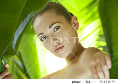 in the jungle in the jungle 80314072