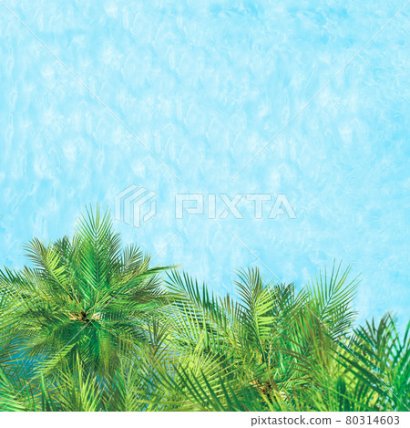 Blue transparent water surface of ocean, sea, lagoon with palm trees. Square background. Aerial, drone view 80314603