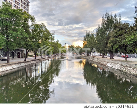 the canal  and old trees in chiangmai, thailand 80314631