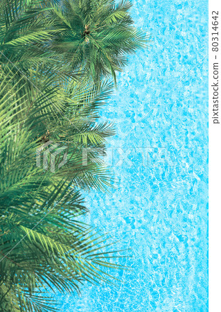 Blue transparent water surface of ocean, sea, lagoon with palm trees. Vertical background. Aerial, drone view 80314642