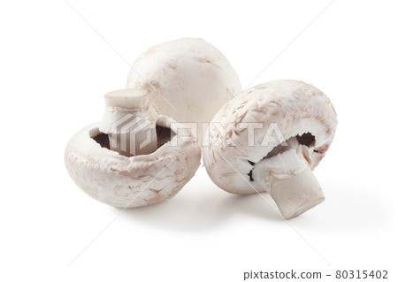 Champignons isolated 80315402
