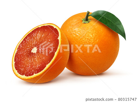 Blood orange illustration real set 80315747