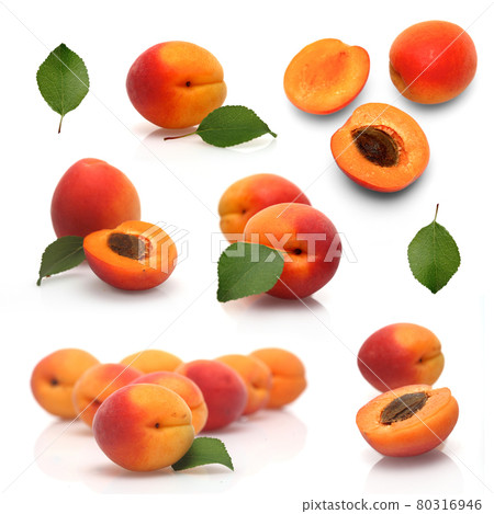 Still life photography 80316946