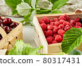 Harvest vegetables in wooden basket on light background 80317431