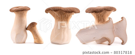King oyster mushroom isolated on white background. Pleurotus eryngii mushroom. 80317818