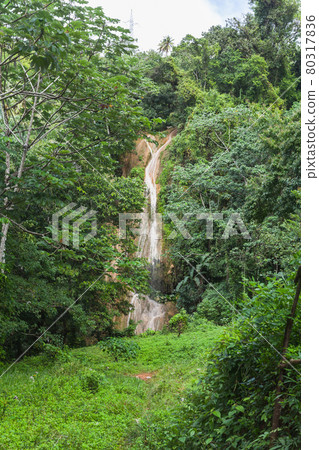 Vertical landscape with waterfall in tropical forest Vertical landscape with waterfall in tropical forest 80317836