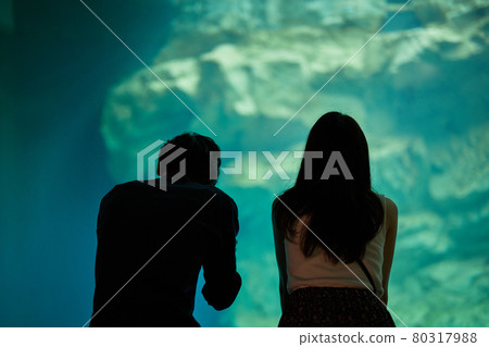 一對年輕夫婦在水族館約會時看魚和生物 一對年輕夫婦在水族館約會時看魚和生物 80317988