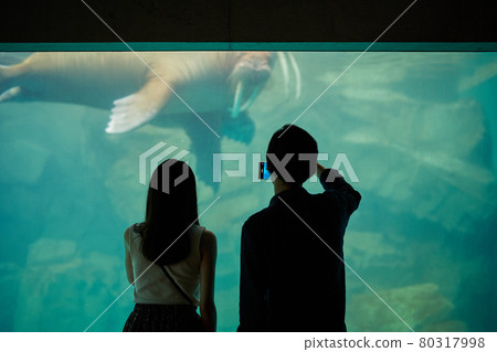 有年輕夫婦水族館約會 有年輕夫婦水族館約會 80317998