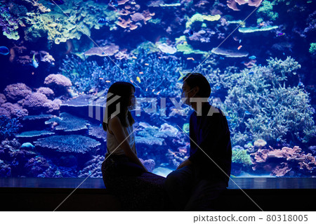 A young couple staring at the aquarium on an aquarium date A young couple staring at the aquarium on an aquarium date 80318005