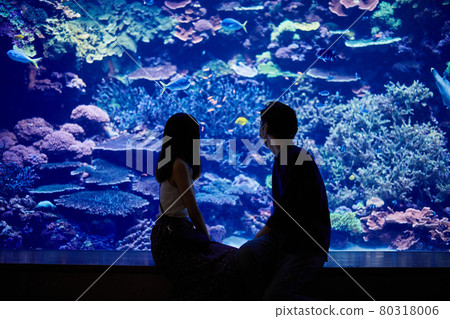 Young couple having an aquarium date Young couple having an aquarium date 80318006