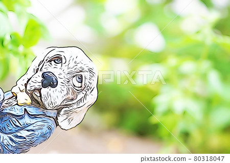 Pastel style "fashionable dog in clothes" illustration image Pastel style "fashionable dog in clothes" illustration image 80318047