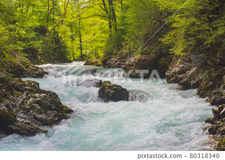 Fast clear waters of Radovna river in Vintgar Gorge Canyon near Bled, Julian Alps, Slovenia. Fast clear waters of Radovna river in Vintgar Gorge Canyon near Bled, Julian Alps, Slovenia. 80318340