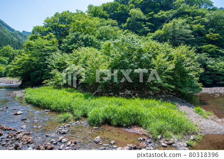 中木川，中木水壩，靠近妙義湖上游，初夏的周邊景色。 80318396