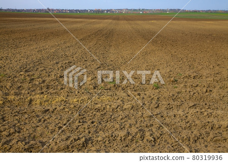 Field Field 80319936