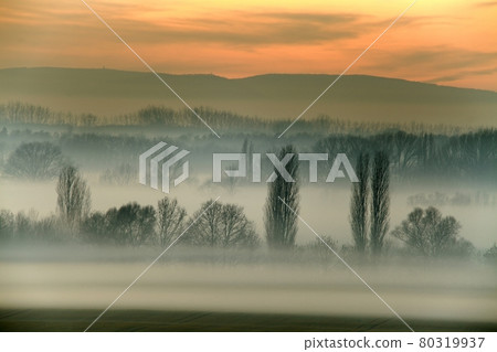 Foggy field Foggy field 80319937