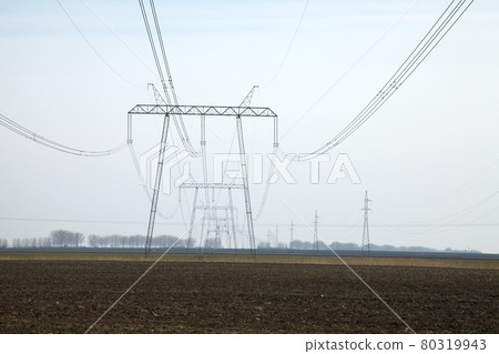 Electricity Electricity 80319943