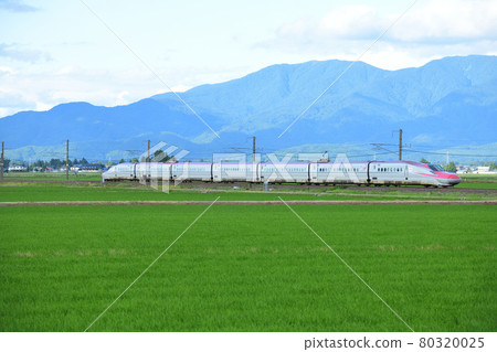 E6系列秋田新幹線小町在鄉間奔跑,背景是奧羽山脈的正午山脈 E6系列秋田新幹線小町在鄉間奔跑,背景是奧羽山脈的正午山脈 80320025
