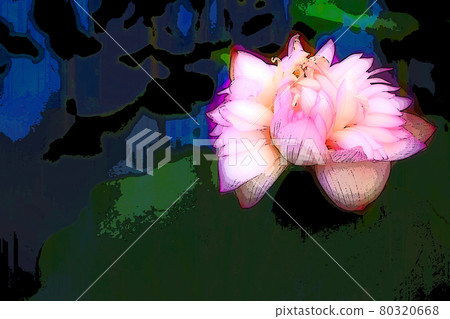 癒合荷花的窗台 80320668