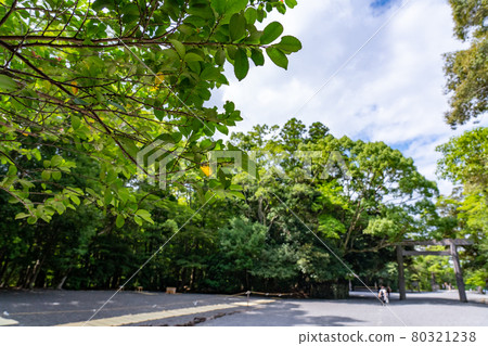 Rainy Ise Jingu Shrine and surrounding scenery 80321238