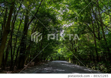 雨天伊勢神宮及周邊景色 80321265
