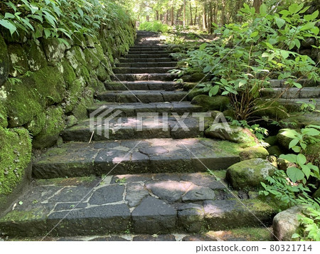 Road to the shrines and temples of Nikko Road to the shrines and temples of Nikko 80321714