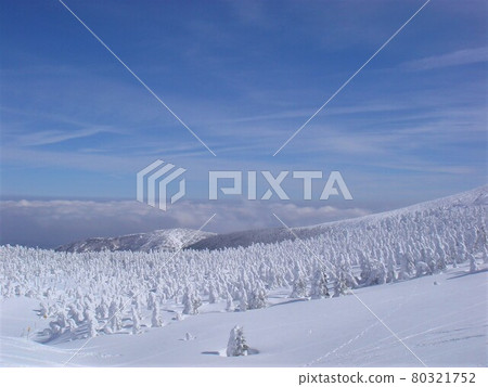 Zao Ski Resort / Slope Rime Forest Scenery / Yamagata City, Yamagata Prefecture 80321752