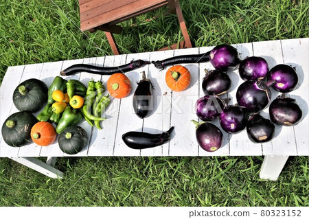 Summer vegetables mini pumpkin paprika eggplant paprika Manganji 80323152